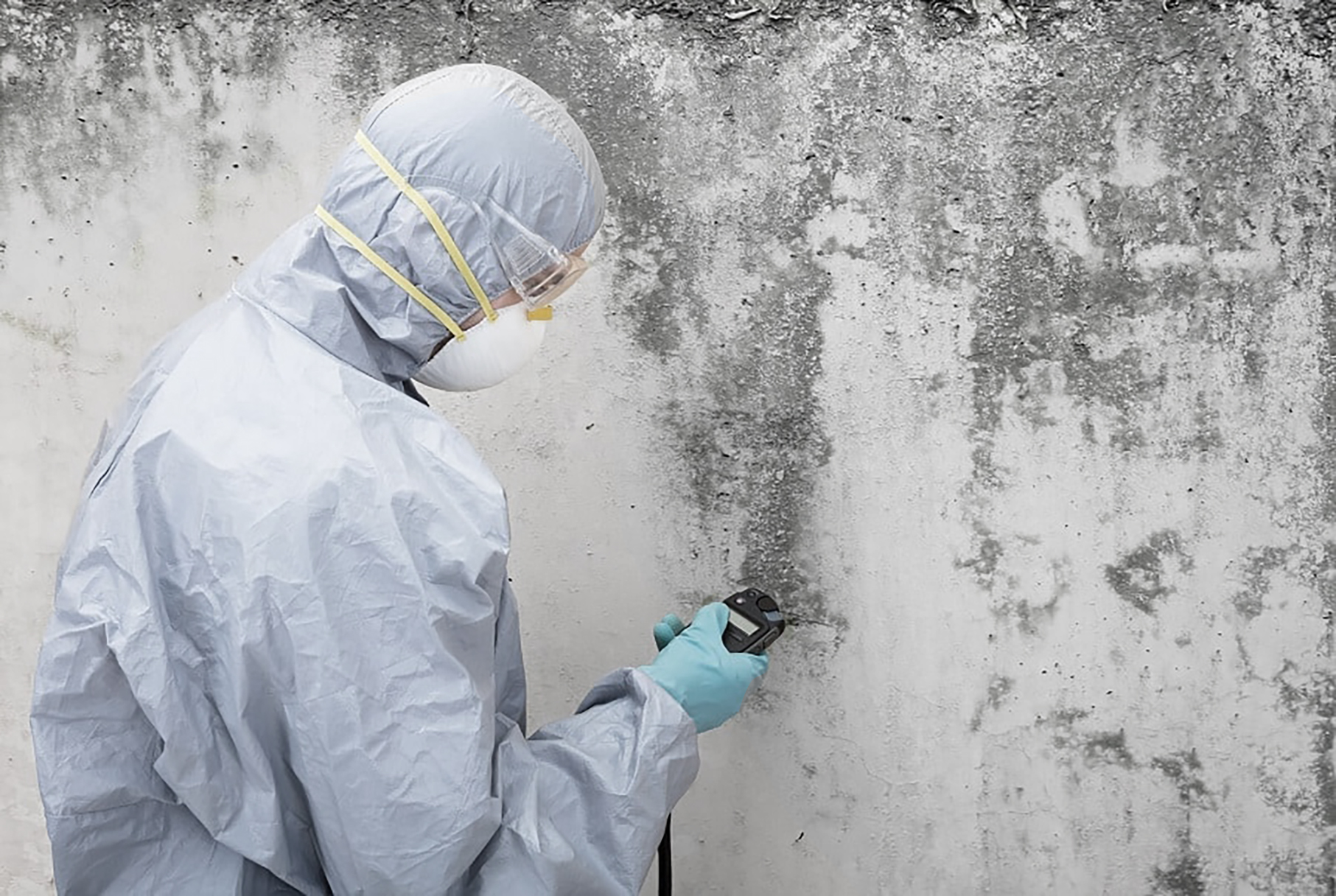 Mould removal professional at work